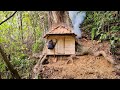 Building complete survival bushcraft shelter under the giant tree  king of satyr