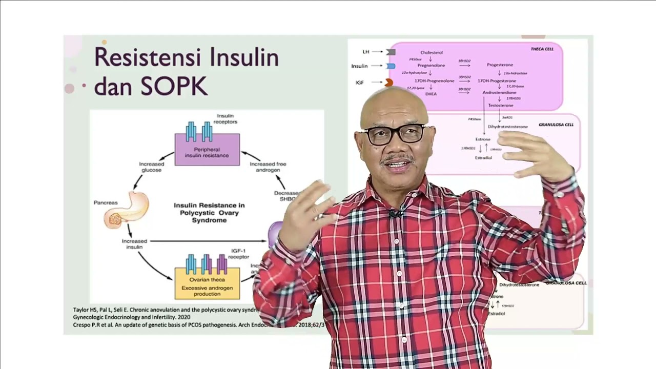 PCOS (Polycystic Ovary Syndrome) - Resiko dan Pengobatannya | Volume 5 [SERI INFERTILITAS]