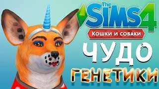 ЧУДО ГЕНЕТИКИ ЛИСА (Перезалив) | The Sims 4 КОШКИ И СОБАКИ