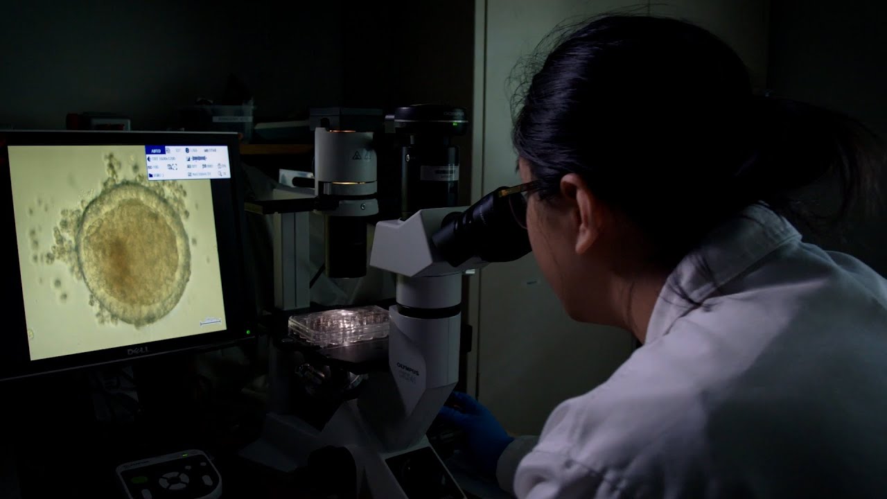 Become a Medical Scientist at Flinders University