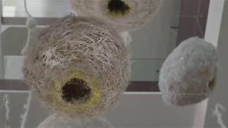 Art Hotel - Ibiza Gran Hotel