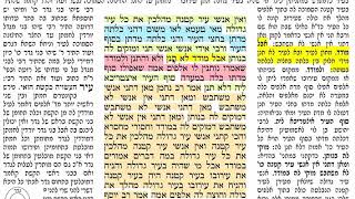 דף יומי מסכת עירובין דף סא Daf yomi Eruvin daf 61  שמואל נבון