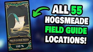 ALL 55 Hogsmeade Field Guide Page Locations in Hogwarts Legacy! (STEP-BY-STEP)