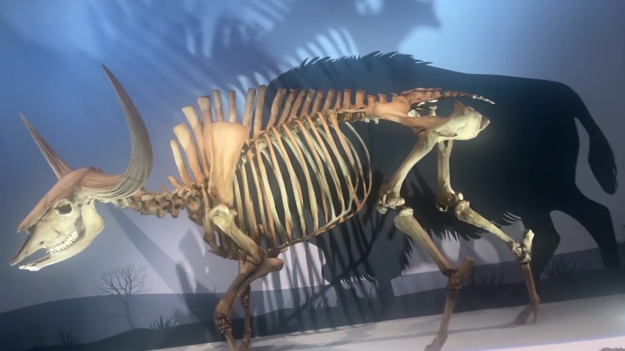 ￼ Indigenous people live Canada ￼