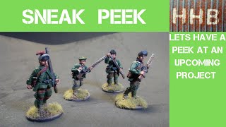 Celebrity SNEAK PEEK - French and Indian War Project in 28mm - Ep 64 Net Worth