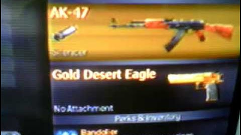 COD4 Unlock All Camos PS3