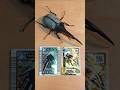 甲虫王者ムシキング X 新甲虫王者ムシキング - ヘルクレスリッキーブルー #ムシキング #甲虫王者ムシキング #カブトムシ