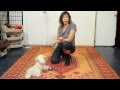Ring a Bell Trick - Dog Training Ring a Bell Trick - Dog Training