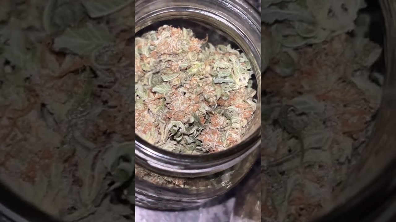 🧁🔥 Red Velvet Pancake by LIT Farms  