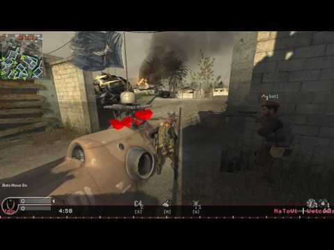 COD 4 NaToEffects V1 PC mod menu