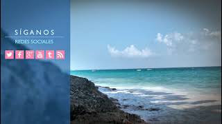 🌳¿Sabías que en México hay 6 especies de mangle?🍃