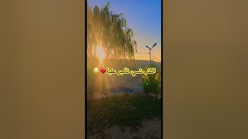 قران كريم يا الله #quran #اكسبلور #المصحف #الشيخ #لايك #القران_الكريم #quran