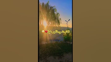 قران كريم يا الله #quran #اكسبلور #المصحف #الشيخ #لايك #القران_الكريم #quran