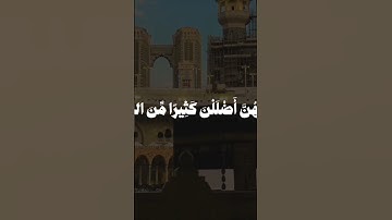 تلاوة القارئ محمد أيوب من سورة  ابراهيم