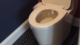 Overview & DEMO: WOODBRIDGEE One Piece Toilet with Soft Closing Seat screenshot 3