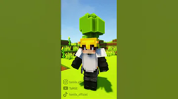 Les Différents Types De Mineurs Sur Minecraft 