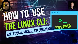How to Use the Linux CLI to Do These 3 Cool Things