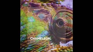 Boris Brejcha - Chameleon (Original Mix)