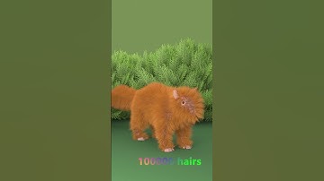 50000 to 500000 hair simulating #3dart #blender