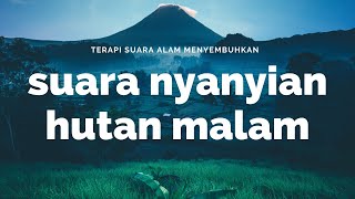 TERAPI SUARA ALAM DAN SUARA NYANYIAN HUTAN MALAM YANG MENYEMBUHKAN