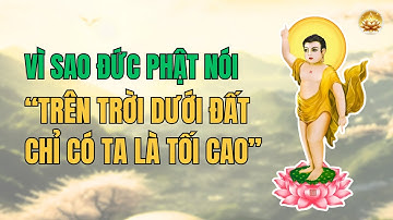 “Thiên thượng Địa hạ, duy Ngã độc tôn” Câu nói khai thị của Đức Phật | Minh Đăng Chánh Pháp