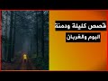 كليلة ودمنة البوم و الغربان كاملة 