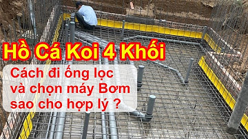 Cách đi đường ống lọc và chọn máy bơm cho hồ cá koi 4 khối #hocakoi #hokoi #vicakoi