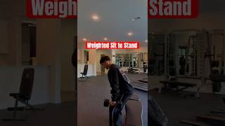 DB Sit to Stand #fitover40 #seniorhealth #gymbeginner #exercisetutorial #gym #fitness #exercise