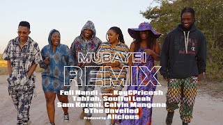 Feli Nandi - Mubayei Remix Visualiser
