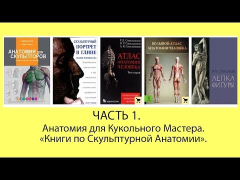 Мастер-класс: "Анатомия для Кукольного Мастера . Часть1.