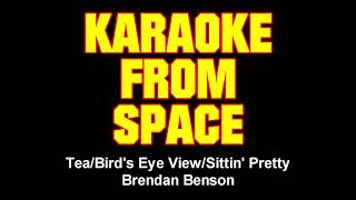 Brendan Benson • Tea/Bird&#39;s Eye View/Sittin&#39; Pretty • [Karaoke] [Instrumental Lyrics]