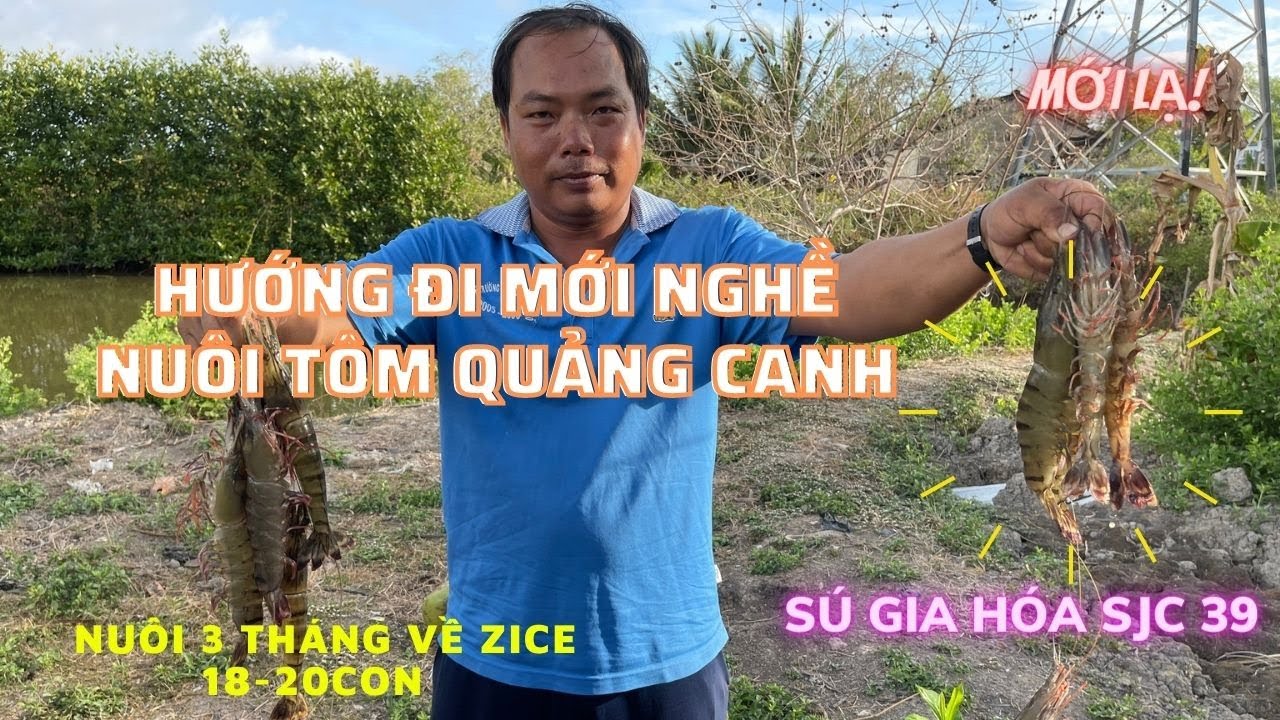 HIỆU QUẢ MÔ HÌNH NUÔI TÔM SÚ GIA HÓA (MOANA) SJC 39... - youtube