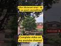 After Allotment what I do? | Up ayush counselling | Which college i Alloted | NEET 2025