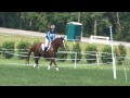 Veronique stmaurice edana mdta at loch moy horse trials xcbn 7122014