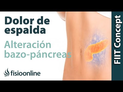 Vídeo: Diferencia Entre Bazo Y Páncreas