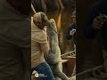 swamp people🐊-(boat take down) #funny #comedyfilms