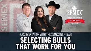 Selecting Bulls that Work for You - 2024 Semex Beef Webinar