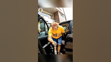 My 1st vlog || ai monkey vlogs || ai monkey shorts || ai monkey video kaise banaye