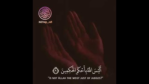 قران كريم🌸🌸سوره التين والزيتون