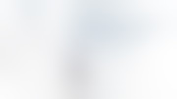 Thoracic Branch Device with PETTICOAT for Type B Aortic Dissection