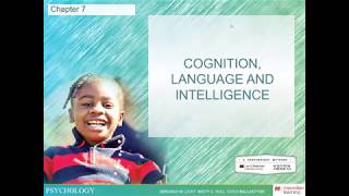 PSY123 Chapter 7 - Cognition, Language, and Intelligence