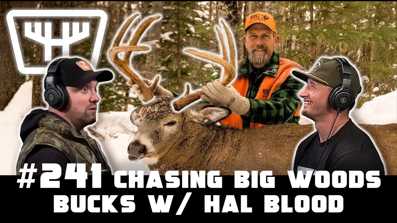 Chasing Big Woods Bucks w/ Hal Blood | HUNTR Podcast #241 - YouTube