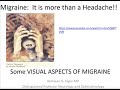 Visual Aspects of Migraine