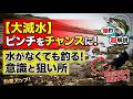【バス釣り】大減水でも釣れる!地形変化を見極めて連発させるコツを徹底解説【川スモール】【Black bass】【春】【5月】