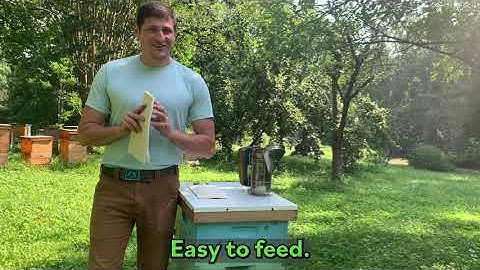 SuperFuel Probiotic Bee Fondant