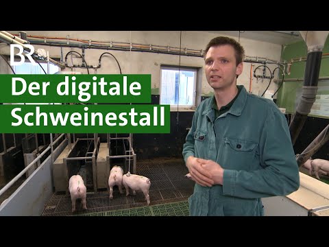 Video: High-Tech-Tierärzte: Bessere Tiergesundheit