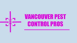 Vancouver Pest Control Pros | Termite Control Service in Vancouver WA 