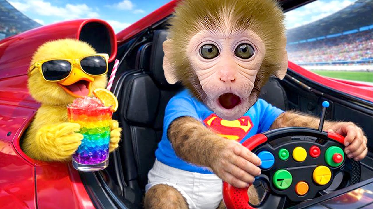Affe BonBon fährt superschnell mit süßen Entchen über den fröhlichen Spielplatz