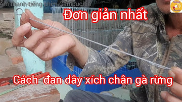 Chia sẻ cách đan xích chân gà rừng, cu gáy rất đơn giảng, dể làm