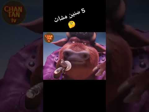 سنين مشات